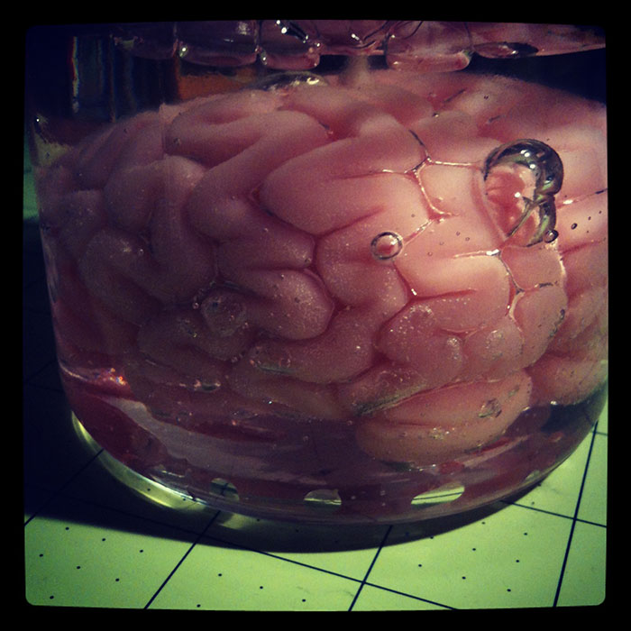 The Brain In A&nbsp;Vat