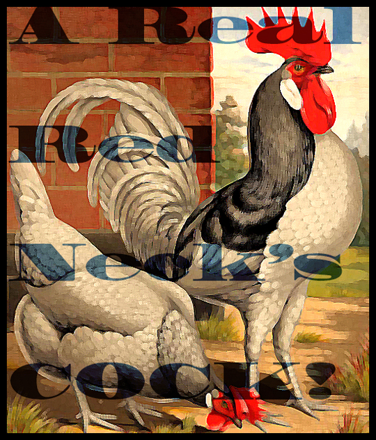 RedNeck-CockArt